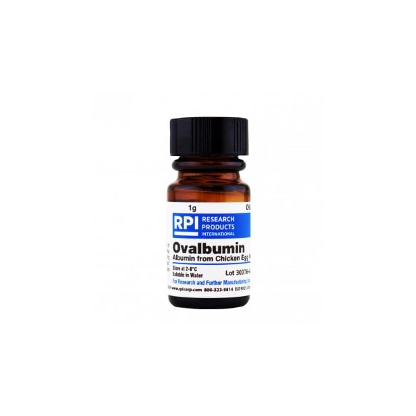 Ovalbumin, 1 G
